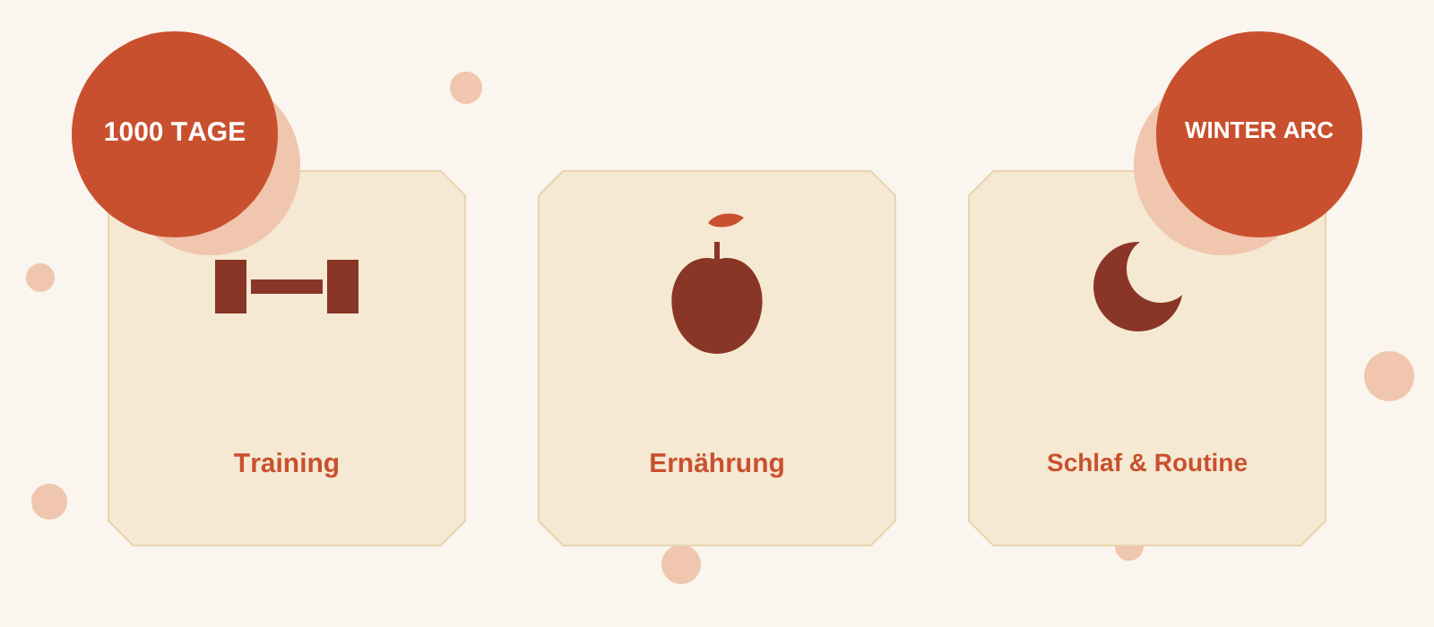Warum baue ich mir jetzt meine eigene Winter Arc?